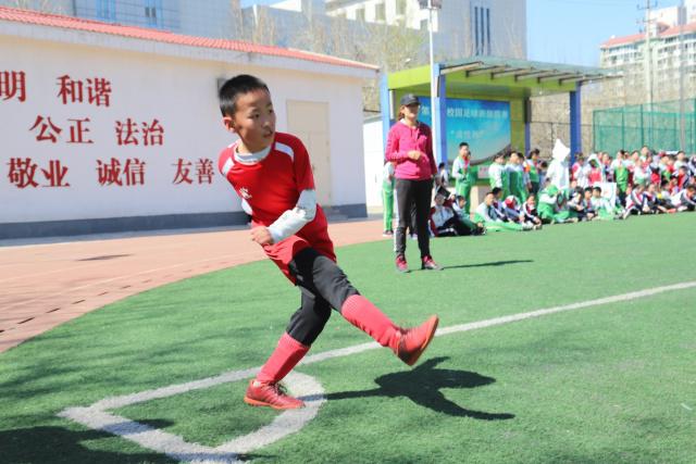 中国马术协会第十一届会员代表大会在京召开